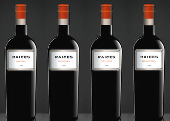 RAICES_premium_project RAICES_premium_project